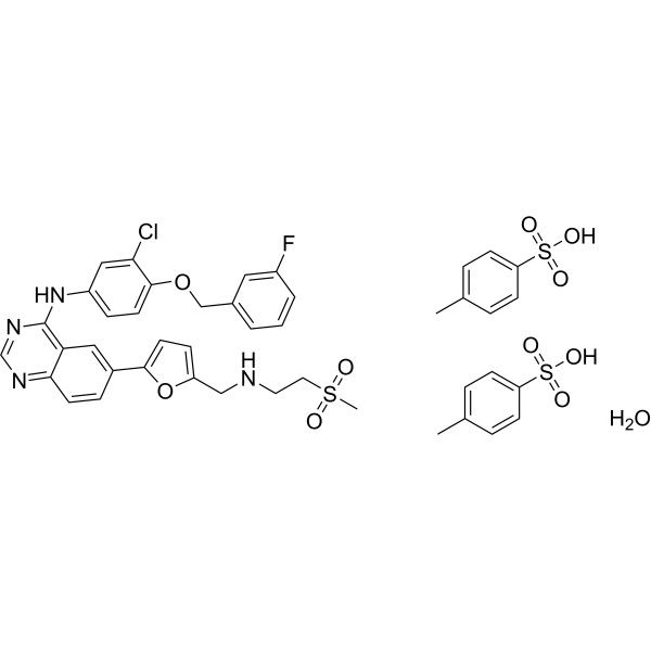 Lapatinib Ditosylate Monohydrate CAS 388082-78-8 Purity >99.0% (HPLC)