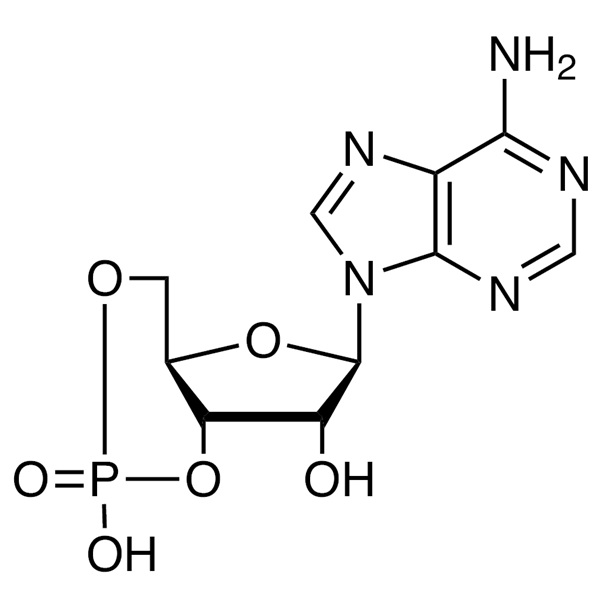 Adenosine 3′,5′-Cyclic Monophosphate (Cyclic AMP; cAMP) CAS 60-92-4 Assay 97.0%~103.0% (HPLC)